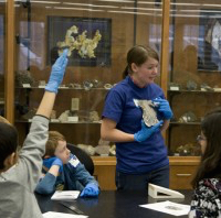 Laura Thomson explains meteorites to students.